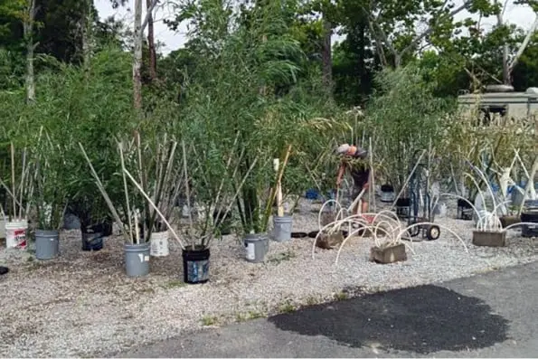 Lake Weiss Fish Habitat Build 2024 | Anglers Unlimited