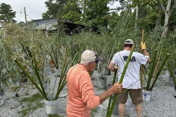 Lake Weiss Fish Habitat Build 2024 | Anglers Unlimited